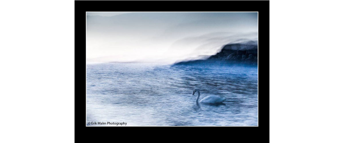 image taken be Erik Malm